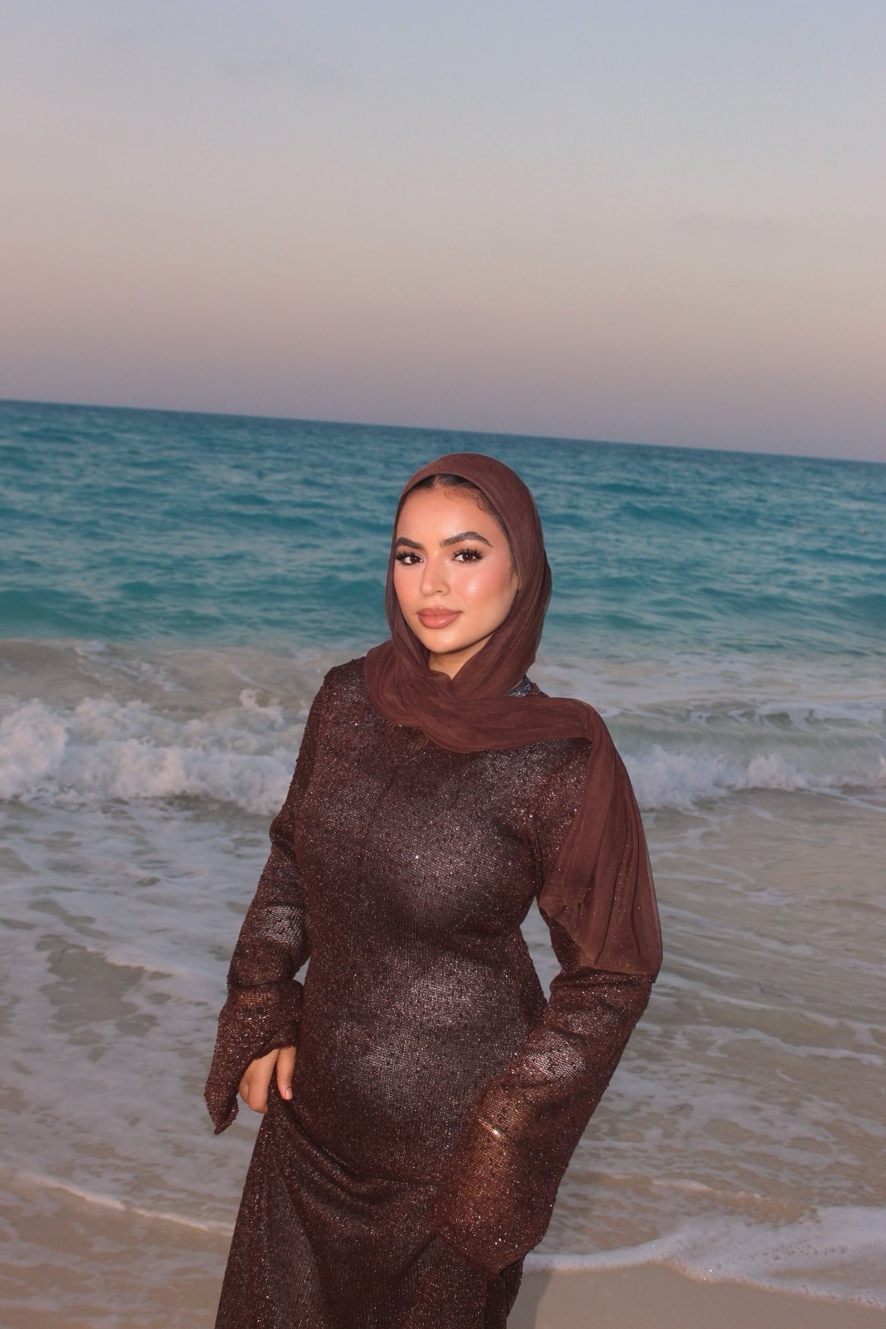 Oceane Dress (brown )