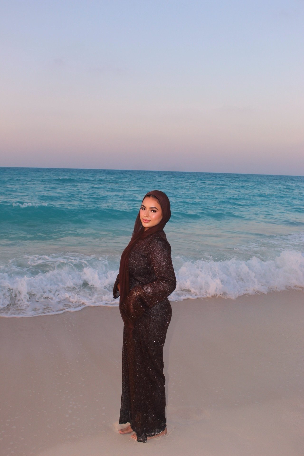 Oceane Dress (brown ) - Image 3