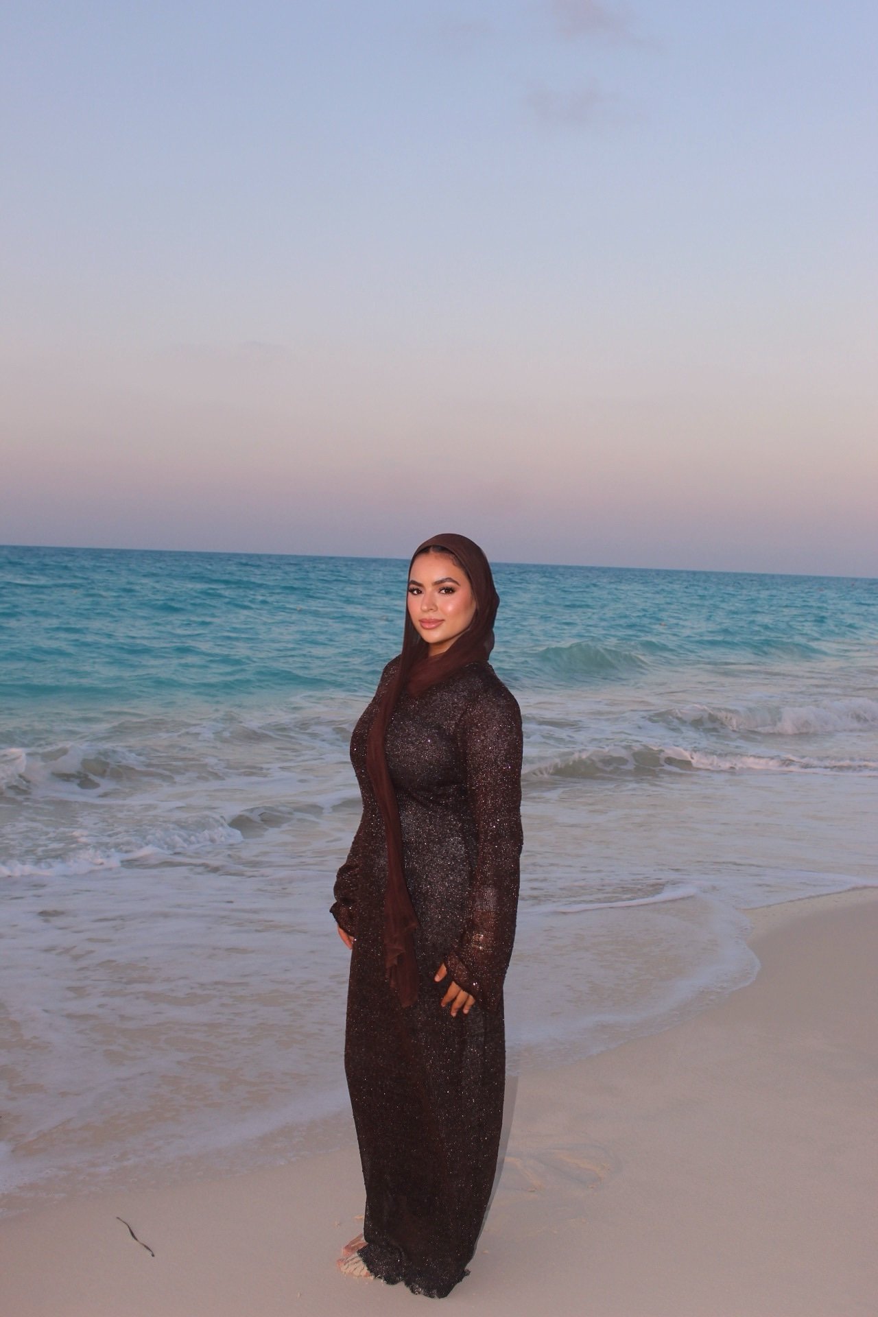 Oceane Dress (brown ) - Image 4